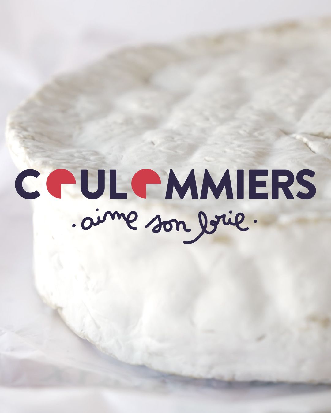 Fromage Coulommiers en gros plan